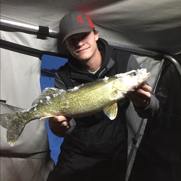 Meet your Posher, Riley - Picture 1 of 1